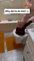 Funn Time virel in toilet pot 🤣🤣🤣🤣