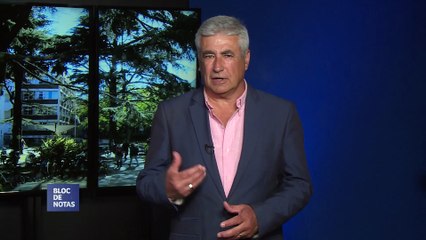 BLOC DE NOTAS SEMANAL -  PRG 323