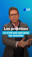 Les protéines, c'est pas que pour les muscles - Les conseils du Dr Kierzek