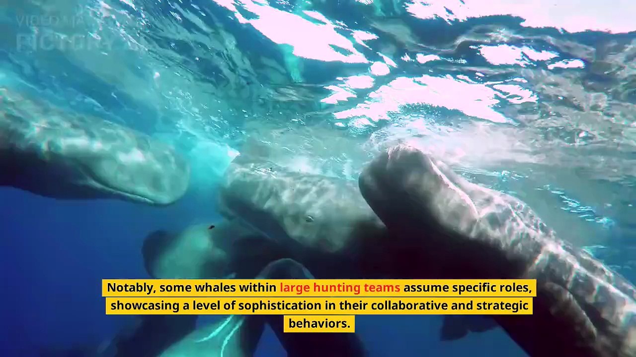 Breaking Barriers UC Davis and SETI Pioneer Inter-Species Communication Beyond Earth