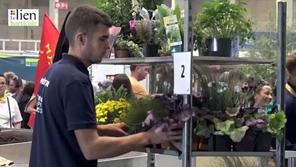 WorldSills 2025 : Tim Boucherie, Pays-de-la-Loire, a obtenu l'or en Horticulture.