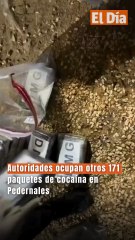 Autoridades ocupan otros 171 paquetes de cocaína en Pedernales