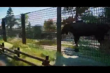 Till Death and Forever After Full Drama Series