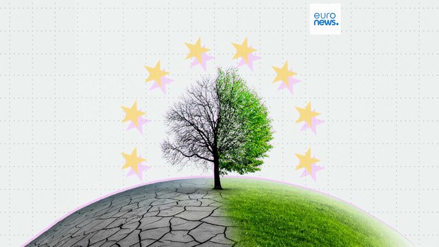 COP 30: quais as opiniões dos cidadãos europeus sobre as alterações climáticas?