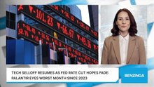 Tech Selloff Resumes As Fed Rate Cut Hopes Fade: Palantir Eyes Worst Month Since 2023
