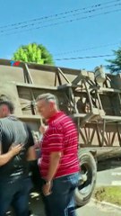 VIDEO: Camión se quedó sin frenos, volcó y 23 vacas corrieron descontroladas