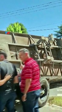 VIDEO: Camión se quedó sin frenos, volcó y 23 vacas corrieron descontroladas