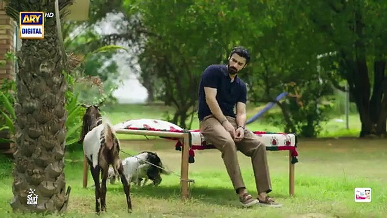 Biryani Episode 29  18 Nov 2025  Khushhal Khan  Ramsha Khan   ARY Digital Drama - ARY Digital HD (360p, h264)