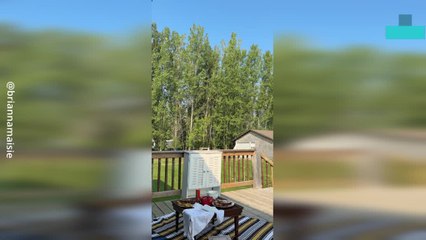 Wife Surprises Husband With Pregnancy News on His Birthday