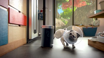 What a shame, Mike ! - Mighty Mike - Cartoon Animation for Kids - Mighty Mike Part 01