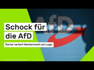 Schock für die AfD: Partei verliert Markenrecht am Logo
