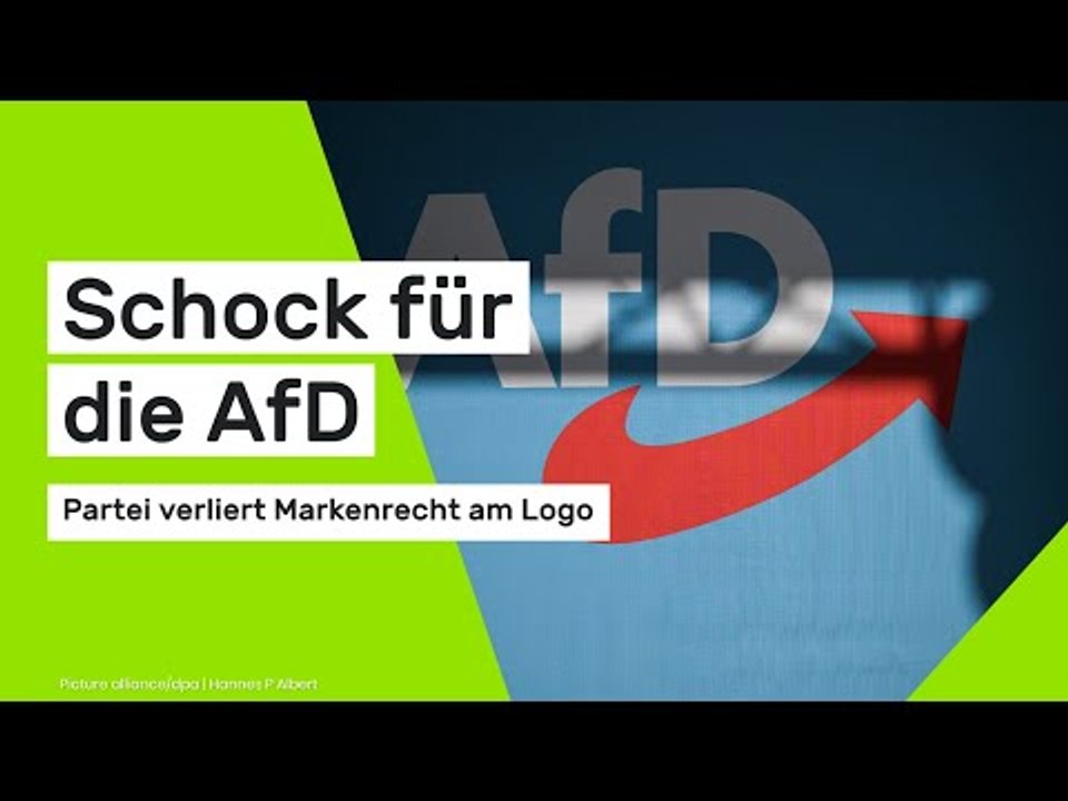Schock für die AfD: Partei verliert Markenrecht am Logo