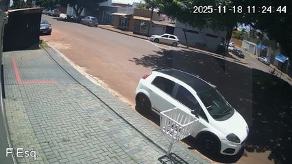Câmera registra acidente após motociclista atropelar gato que cruzou repentinamente a rua em Cascavel