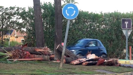 Lucía Rivera se pronuncia sobre la relación de su padre, Cayetano, y la reportera Gemma Camacho