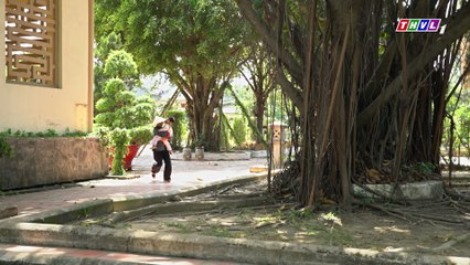 CUỘC CHIẾN HÀO MÔN - TẬP 24 - PHIM VIỆT NAM THVL1 - CUOC CHIEN HAO MON