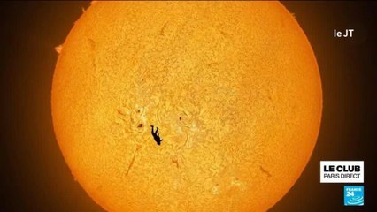 "L’image de l’année" : un parachutiste capturé en chute libre parfaitement aligné avec le soleil