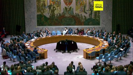 US Gaza ceasefire plan approved by UN Security Council