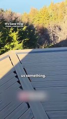 He thinks nails should be poking out... 😳🤦