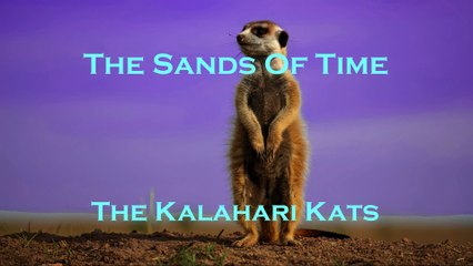 The Kalahari Kats - The Sands Of Time