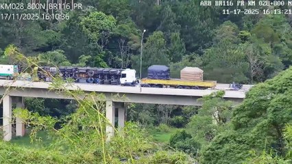 Câmera flagra ladrões saqueando carga de feijão após tombamento de carreta