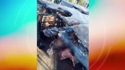 Detenção e Consequências Legais: Conflito de Vizinhos Leva a Incêndio em Criação de Porcos no Distrito da Borracha - Entendendo as Discrepâncias na Lei de Crimes Ambientais