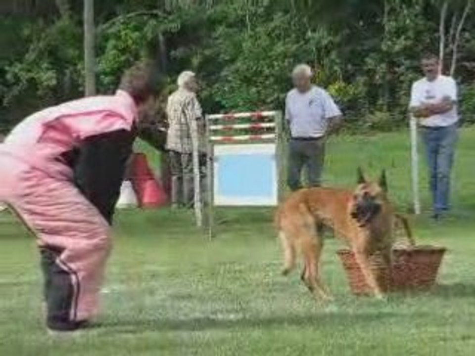 SansTitre.MSWMMordant_0001