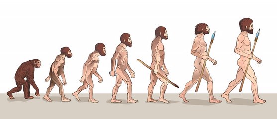 What is Darwin’s Theory of Evolution?