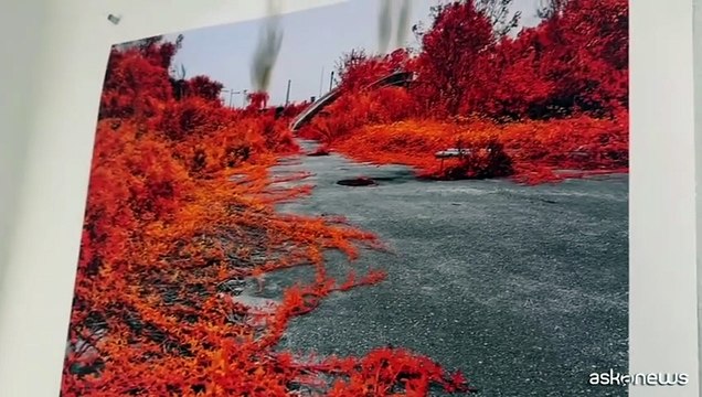 A Napoli Occhi sulla città , la mostra che disvela Partenope