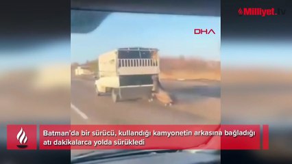 Vicdansızlığın böylesi! Kamyonetin arkasına bağladığı atı dakikalarca sürükledi