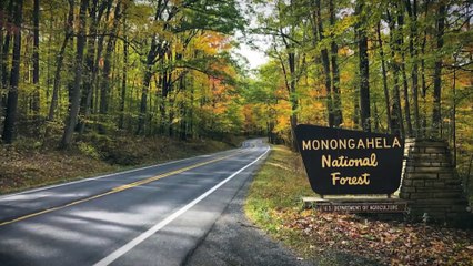 3 True Scary Hiking Horror Stories