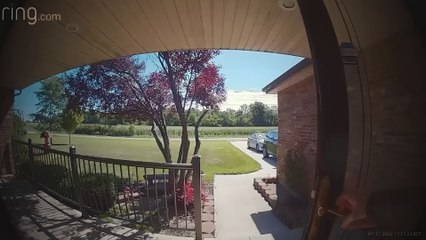 7 Disturbing Moments Caught on RING Cameras