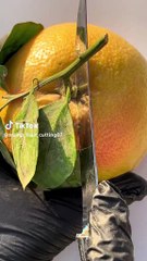 #foryou #growmyaccount  #foryoupage