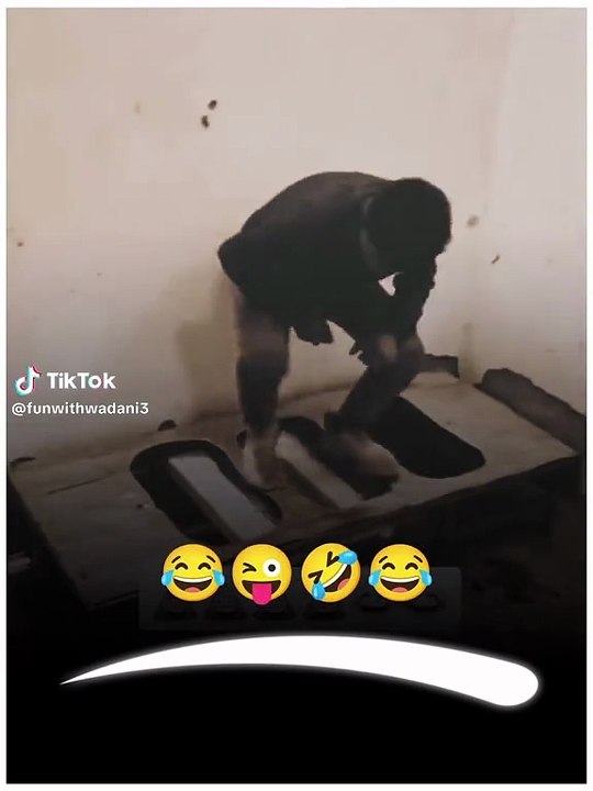 #funnyvideos