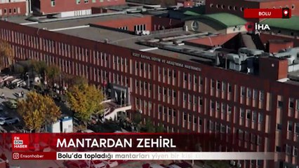 Bolu'da topladığı mantarları yiyen kişi zehirlendi