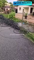 Comando Vermelho corta fibras óticas e impõe domínio da "CVNET" no Ceará