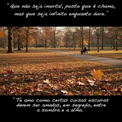 TEU OLHAR MEU ABRIGO