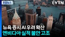 뉴욕 증시 'AI 거품' 우려 확산...엔비디아 실적 발표 앞두고 불안 고조 / YTN