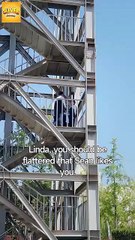 🍎🔥💥 Forbidden Yet Forever Mine Full Movie HD I Best CDrama