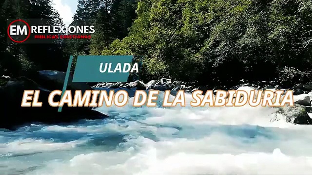 EL CAMINO DE LA SABIDURÍA.