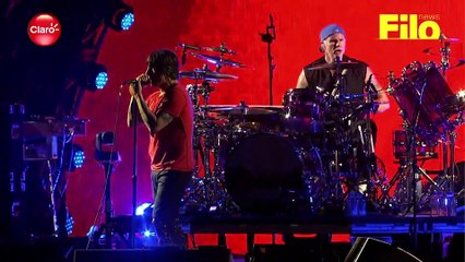 Californication - Red Hot Chili Peppers (live)