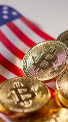 Bitcoin's MAGA Bubble Is Starting to Burst