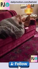 Sleeping with the President Short Drama FULL MOVIES