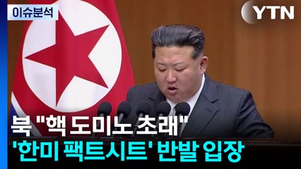 [뉴스UP] 북 "핵 도미노 초래"...'한미 팩트시트' 첫 반발 입장 / YTN