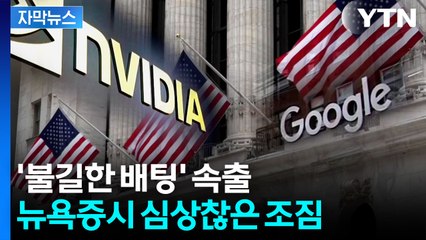 [자막뉴스] 알파벳 최고경영자조차 '냉혹한 평가'... 'AI 거품' 불안 고조 / YTN