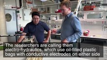 The Locomotion of Future Robots Could Be Powered by This Artificial Muscle.mp4