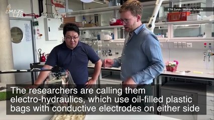 The Locomotion of Future Robots Could Be Powered by This Artificial Muscle.mp4