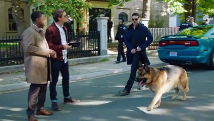 Hudson and Rex S08E07 Criminal Rex