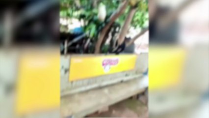 Preso pelo Madril, jovem assume ser viciado em crack desde os 9 anos; Assista