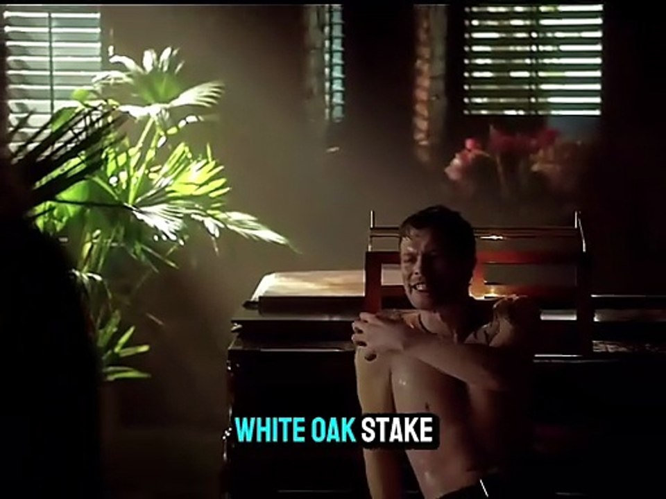 Caroline are you real? Prove me | TVD Edits