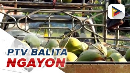 Desisyon ng Amerika na hindi na patawan ng taripa ang karamihan sa agricultural products na galing ng Plipinas, welcome sa D.A.